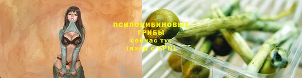 крисы Белоозёрский