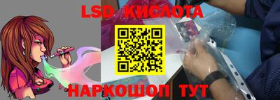 молекула духа Заволжье