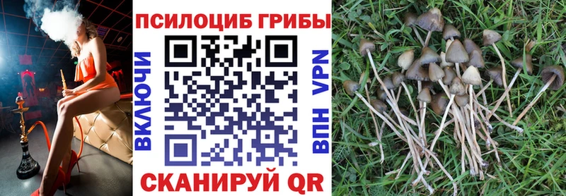 Галлюциногенные грибы мухоморы наркотики Лыткарино