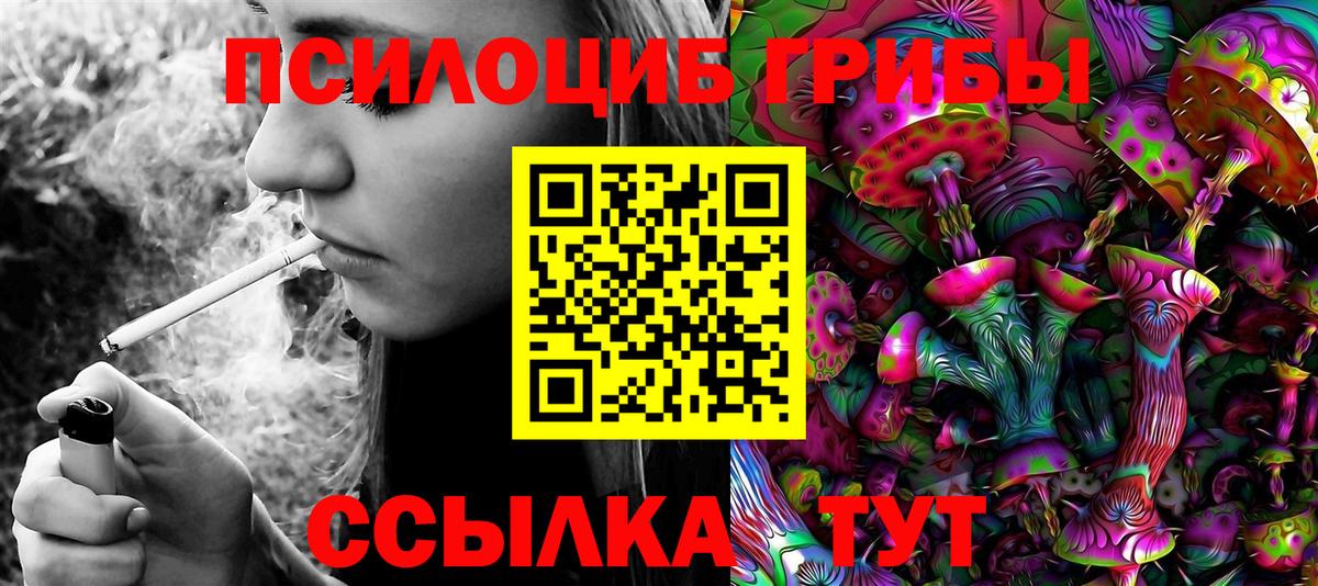 Псилоцибиновые грибы Magic Shrooms  Вход с VPN  Псилоцибиновые грибы MAGIC MUSHROOMS  Лыткарино 