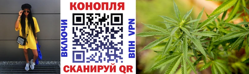 купить наркоту  Лыткарино  блэк спрут ссылки  Марихуана OG Kush 